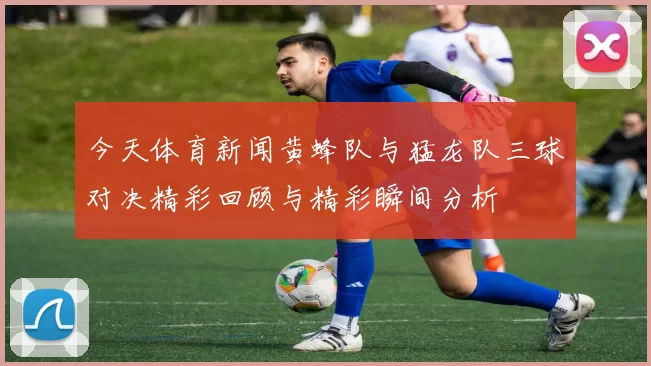 今天体育新闻黄蜂队与猛龙队三球对决精彩回顾与精彩瞬间分析